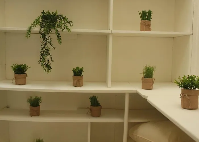 Appartement Renove 2-8 Personnes