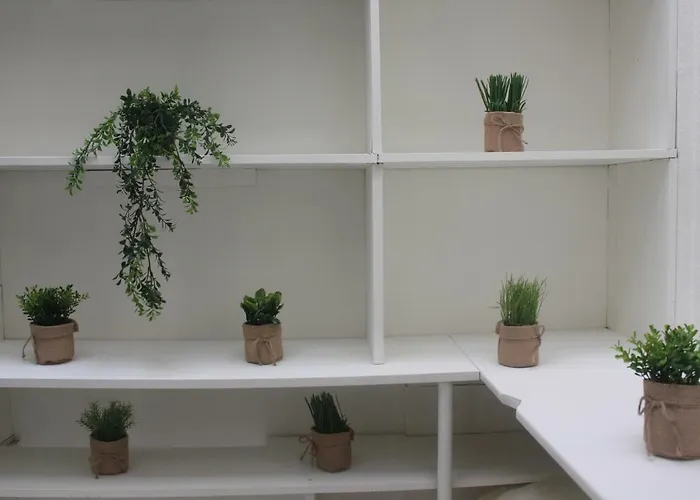 Renove 2-8 Personnes * Montreux